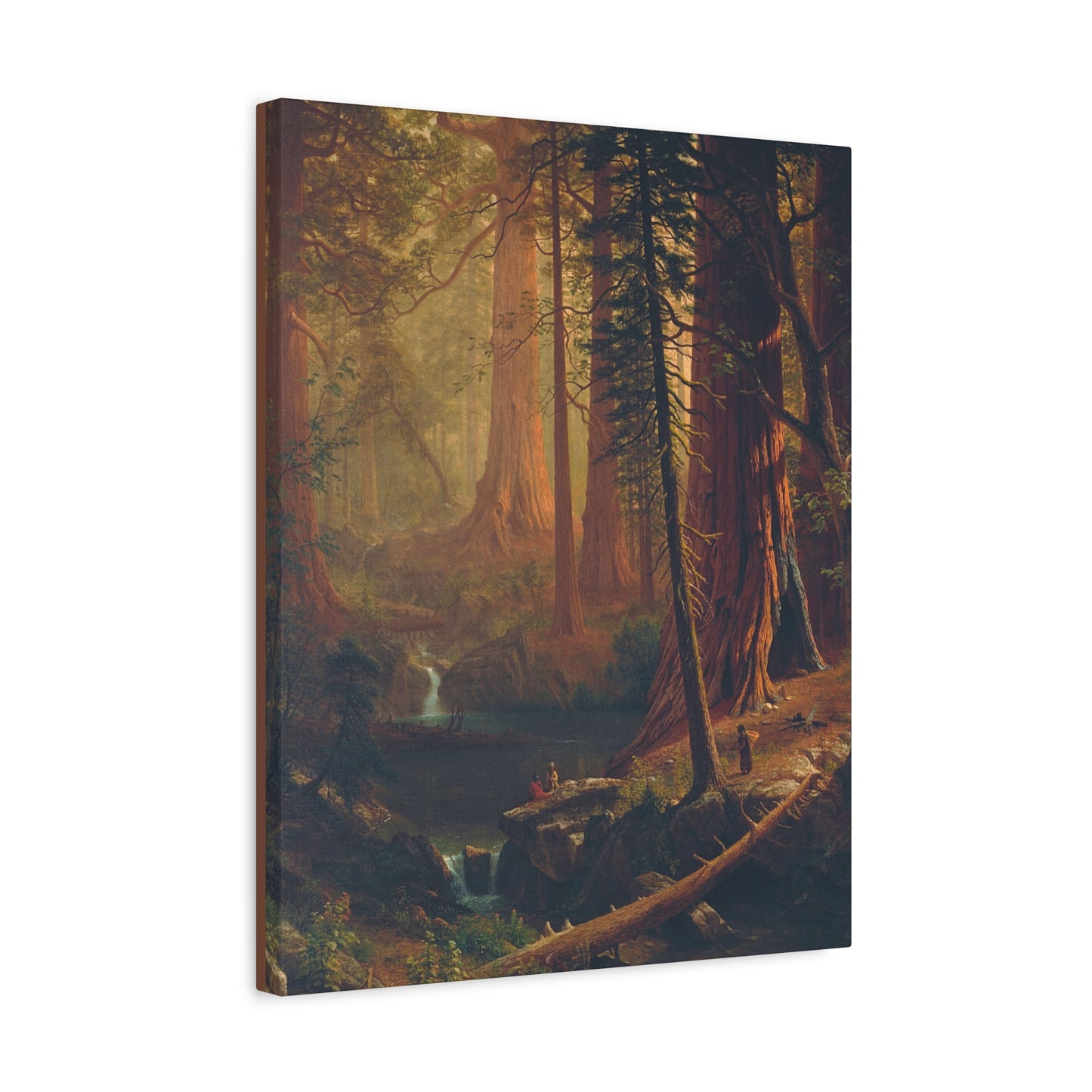 Giant Redwood Trees of California.