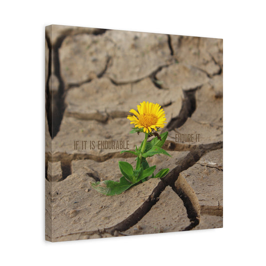 If it is endurable, endure it.