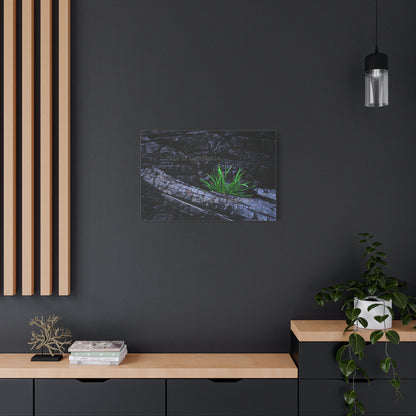 Pain is inevitable, suffering is optional.