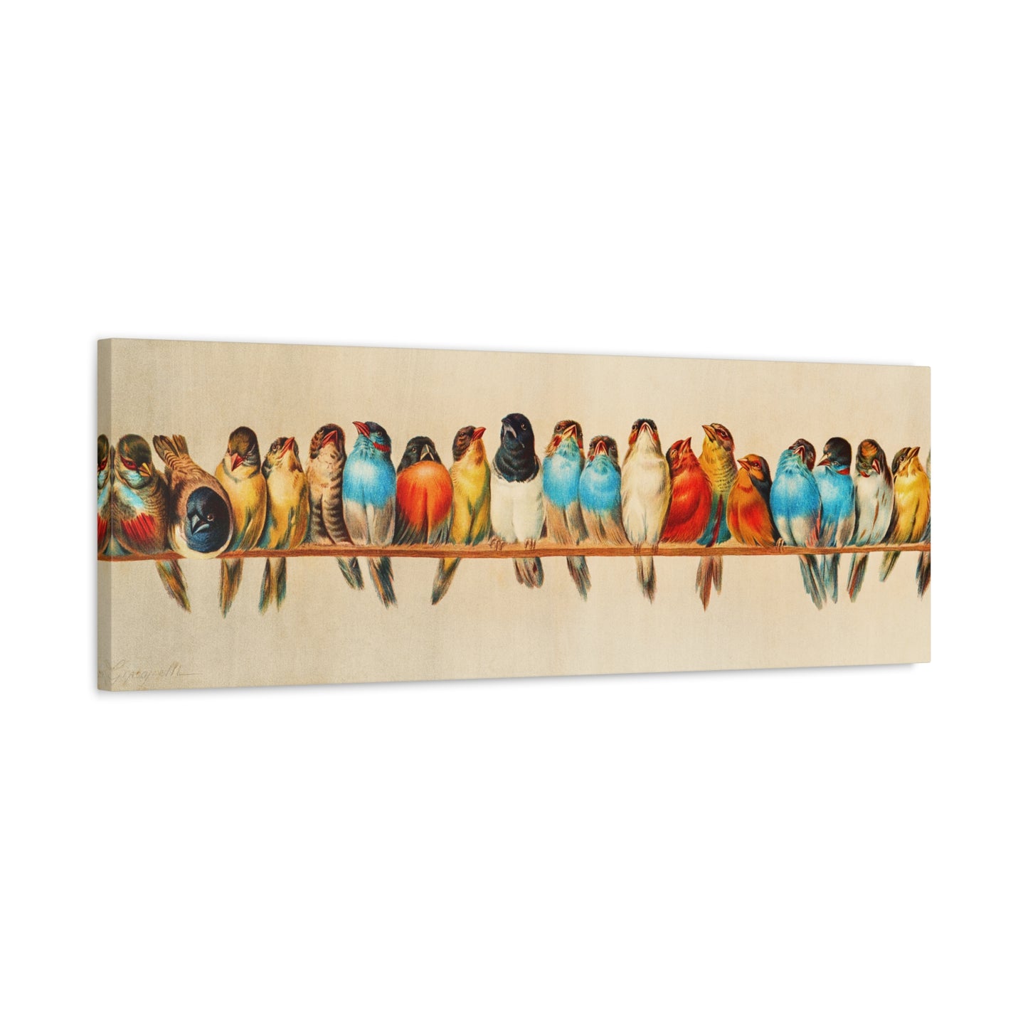 A Perch of Birds. Hector Giacomelli.