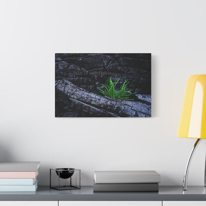 Pain is inevitable, suffering is optional.