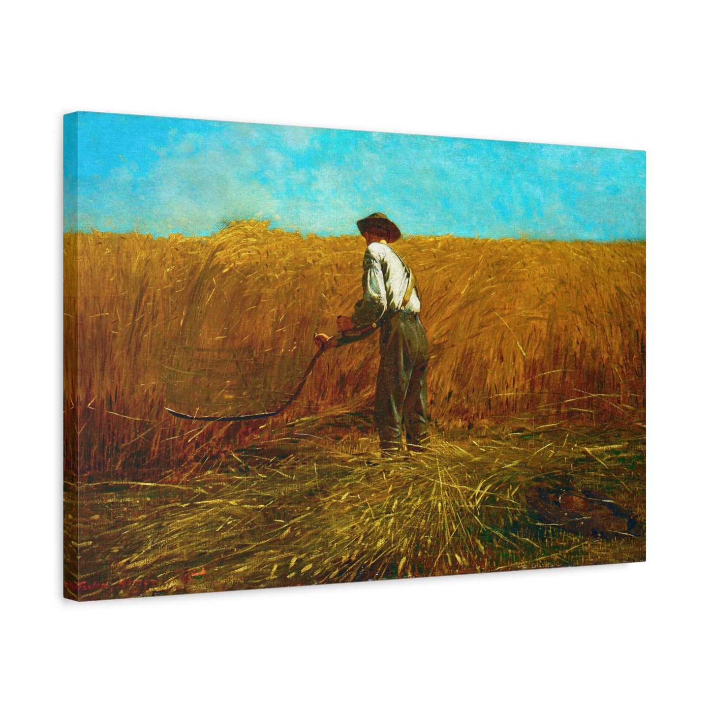 The Veteran in a New Field.