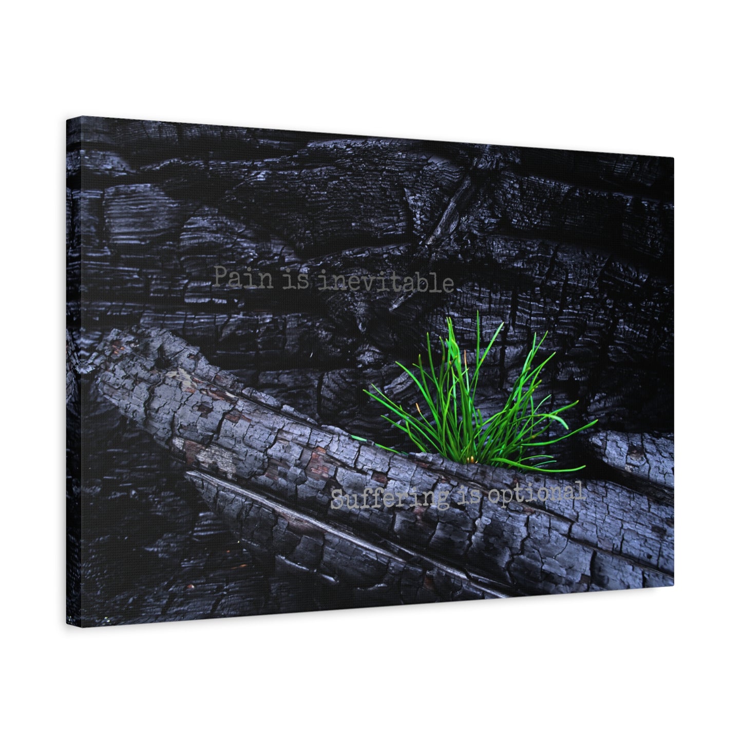 Pain is inevitable, suffering is optional.