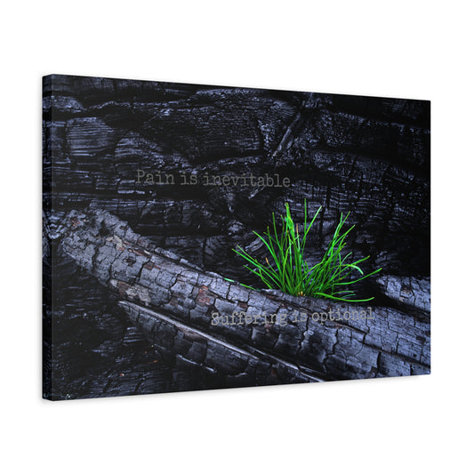 Pain is inevitable, suffering is optional.