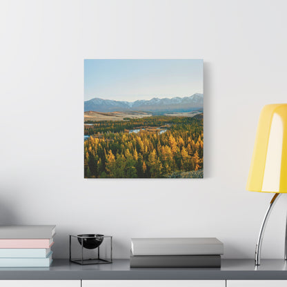 The farther one gets into the wilderness, the greater is the attraction of its lonely freedom.